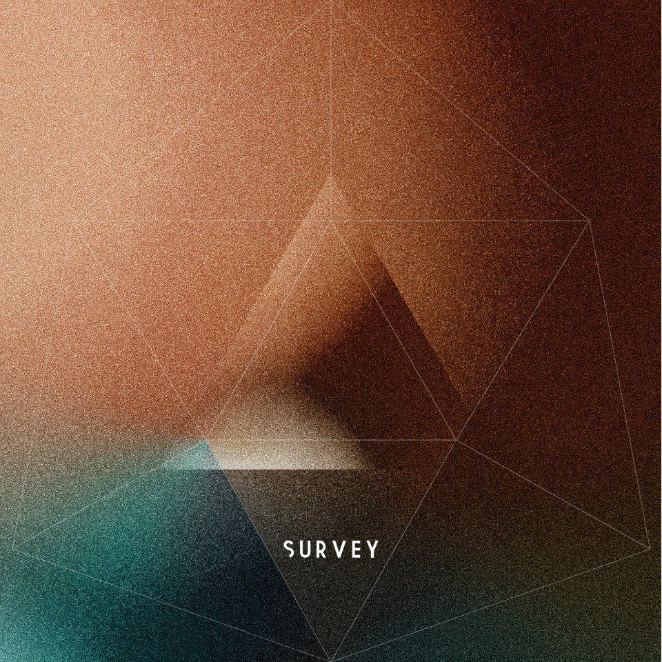 everyday junglist gu survey  