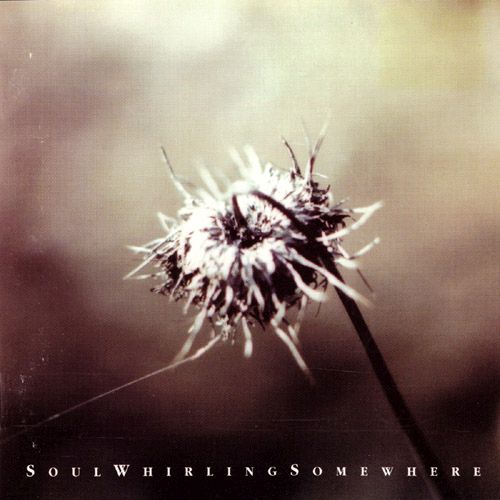 everyone will eventu soul whirling somewh 