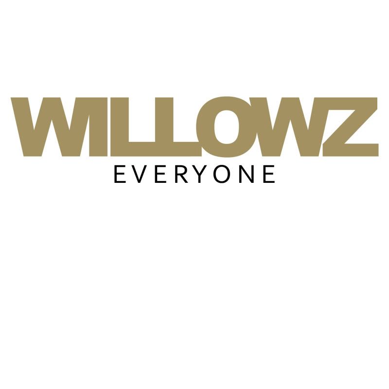 everyone the willowz 