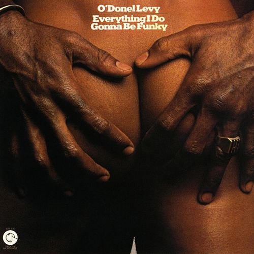 everything i do gonn odonel levy  