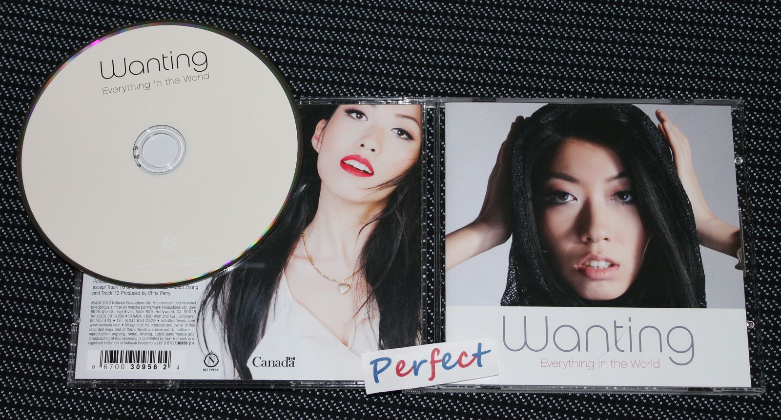 everything in the world wanting 