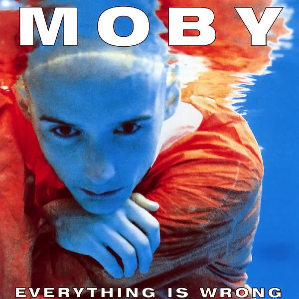 everything is wrong moby 