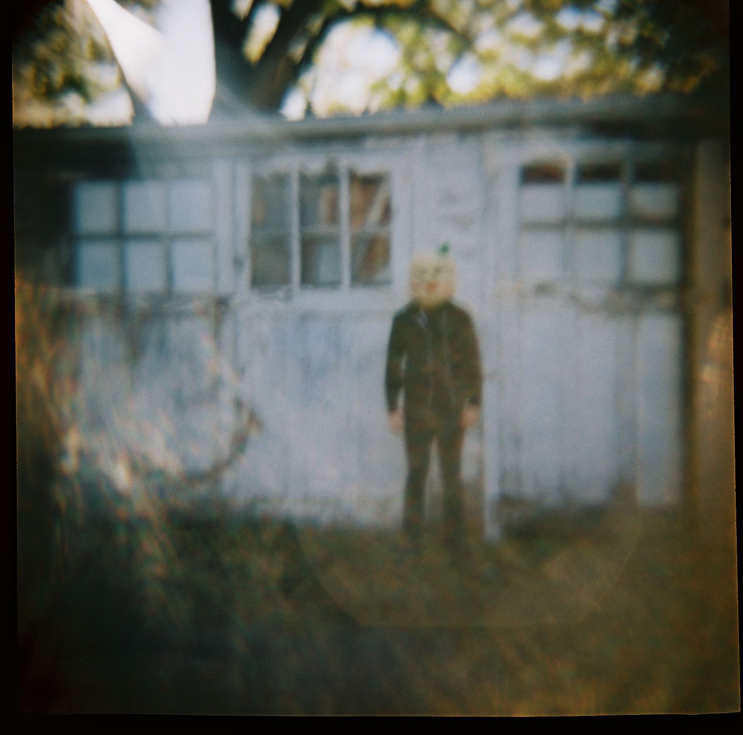 everything went blac walleye 