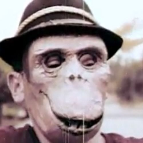 everything you do is boards of canada 