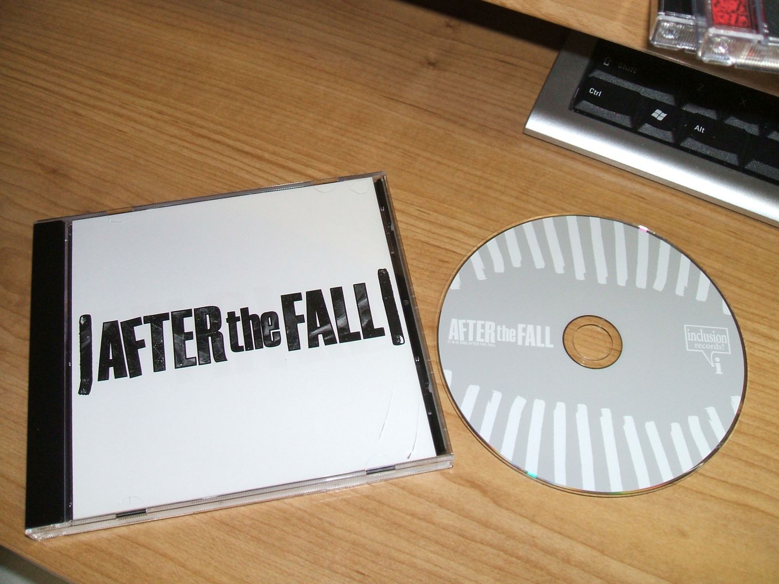 everything after the fall  