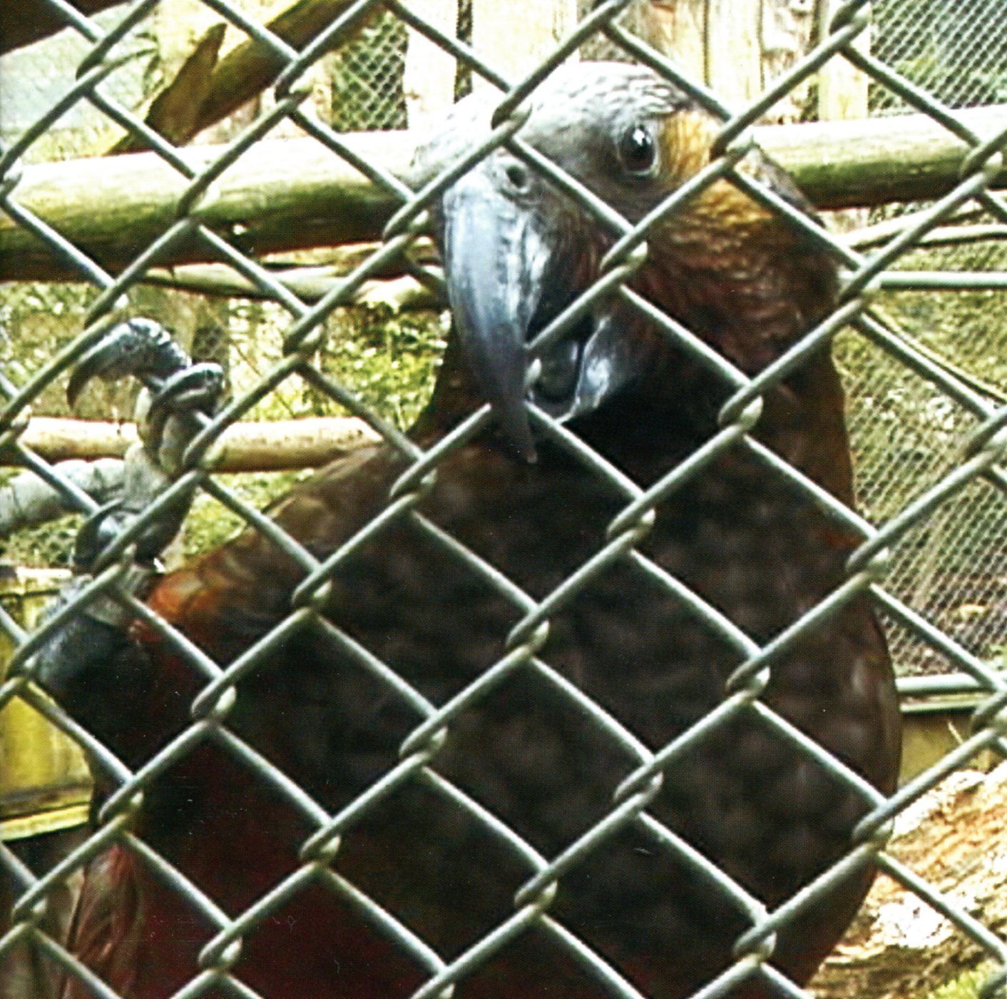 everythings dri the cakekitchen 