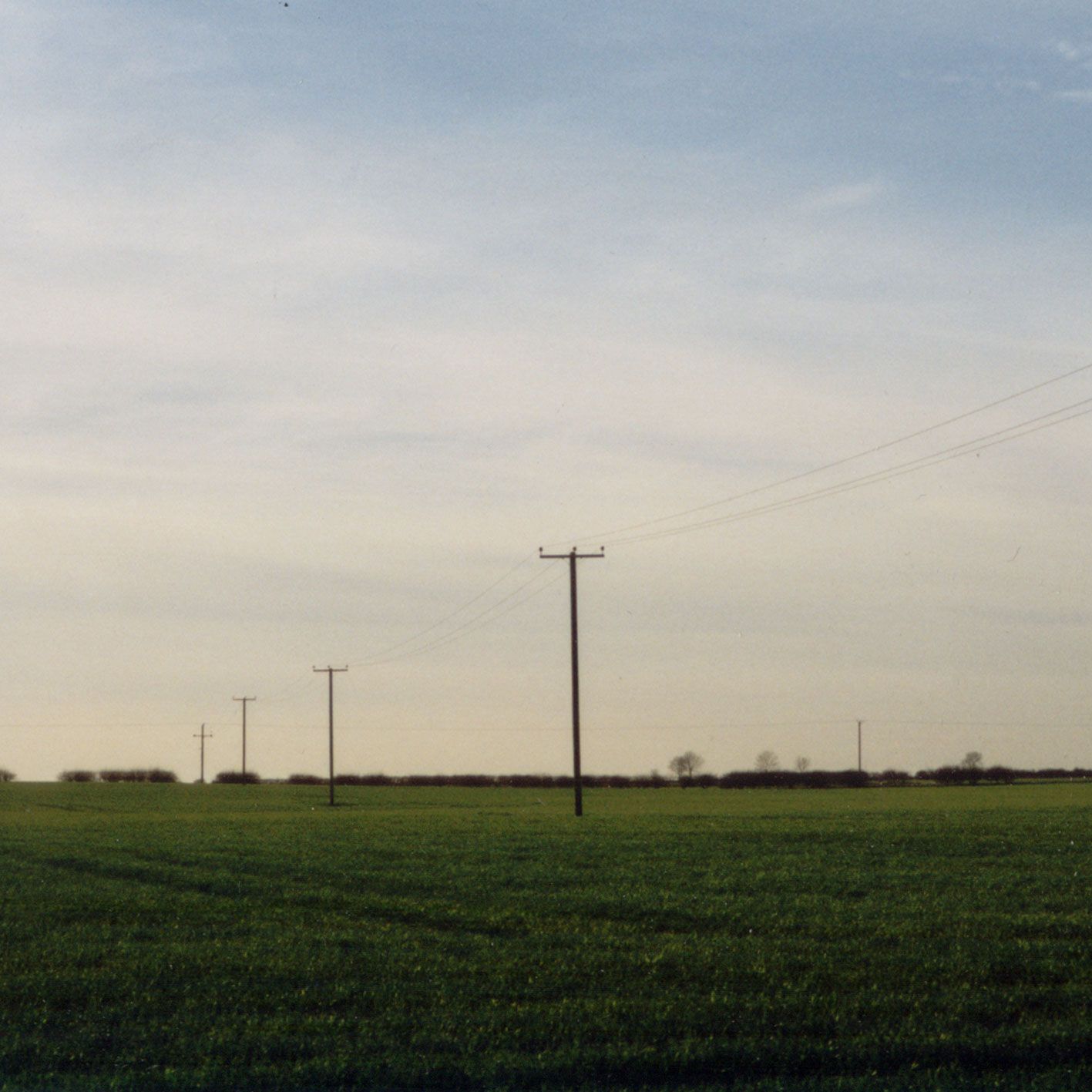 evidence from the se le liberateurs 