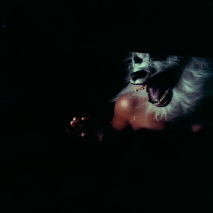 evocation november coming fire 