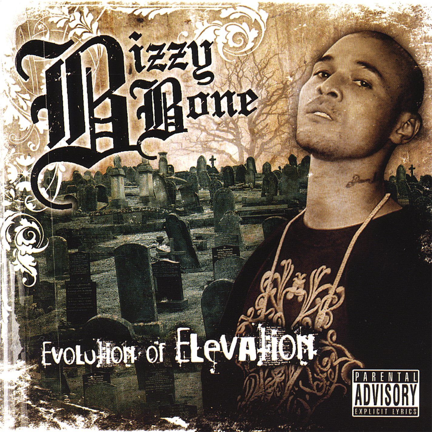 evolution of elevati bizzy bone  