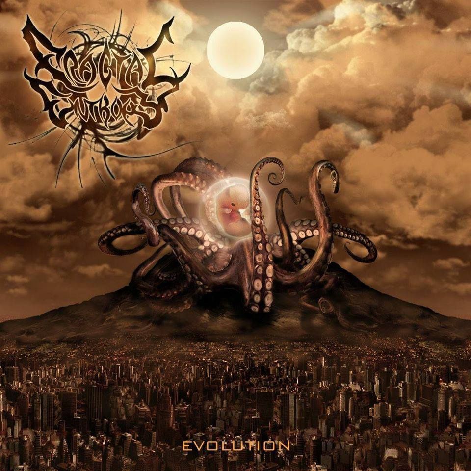 evolution fractal entropy 