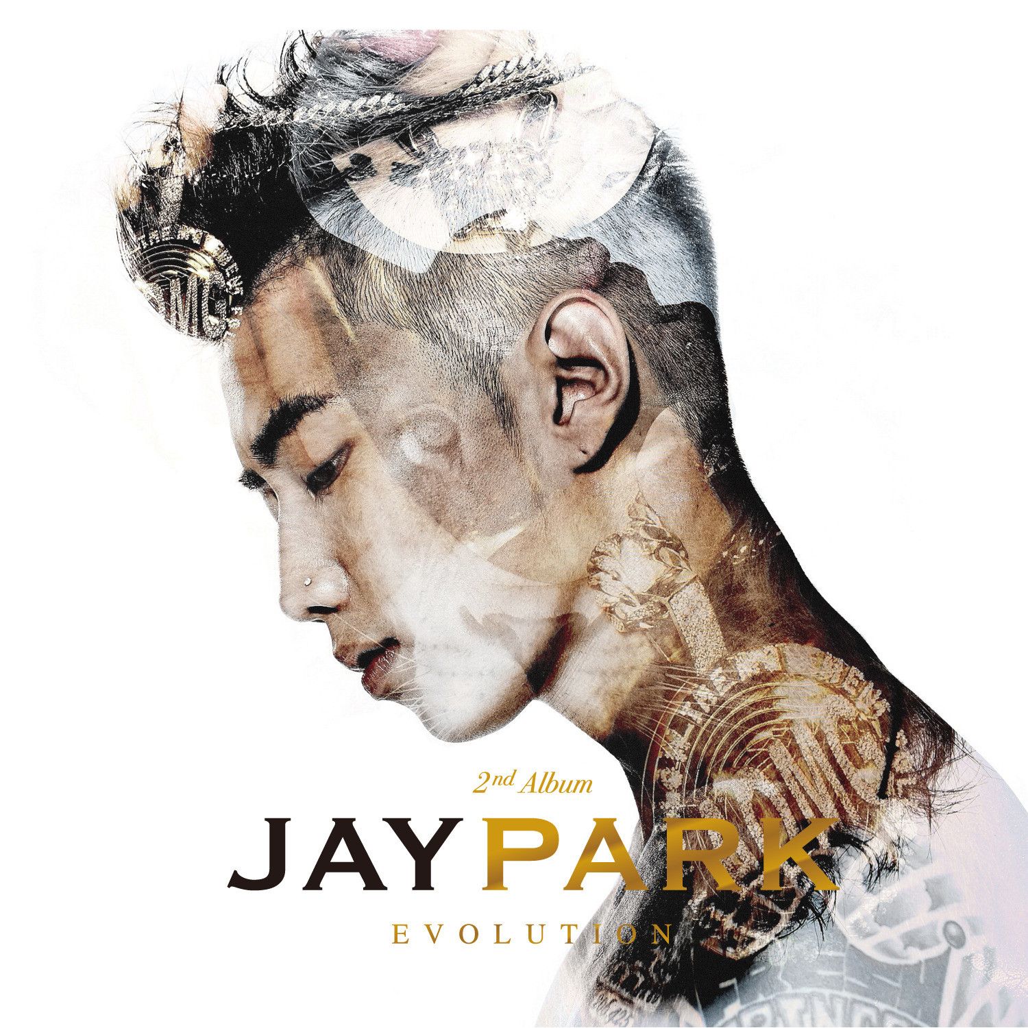 evolution jay park  
