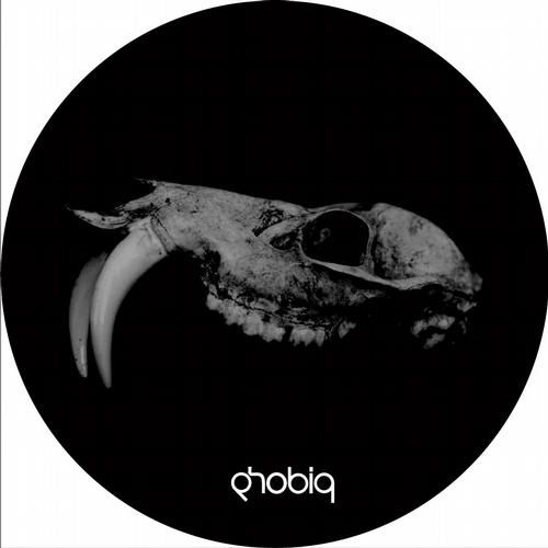 evolution mikael jonasson  