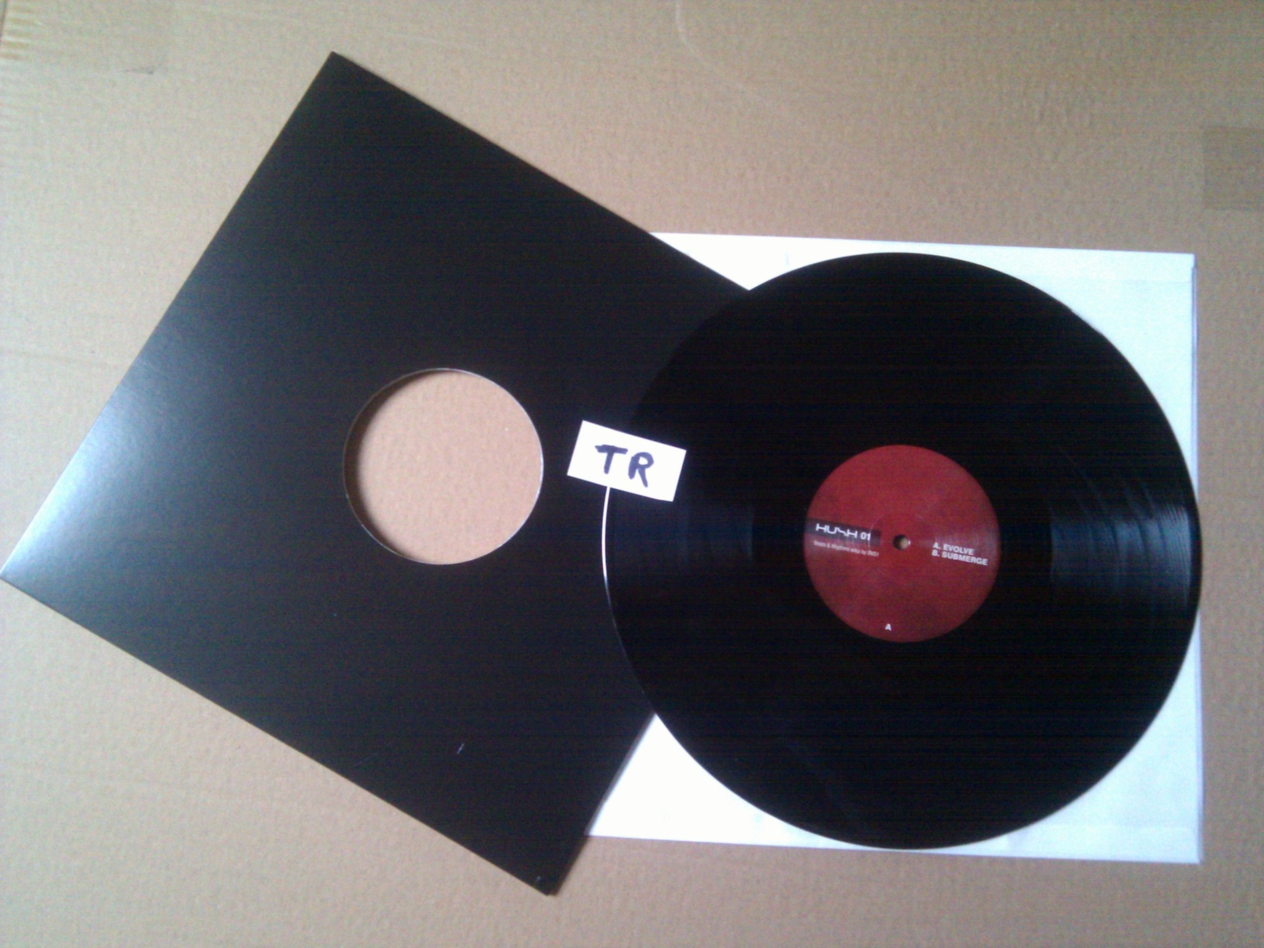 evolve submerge dvs1  