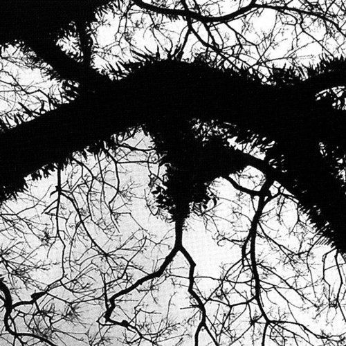 evolver magnetik north  