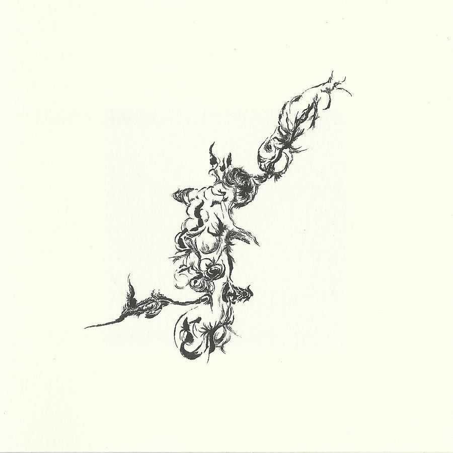 evolving blush or dr keiji haino 