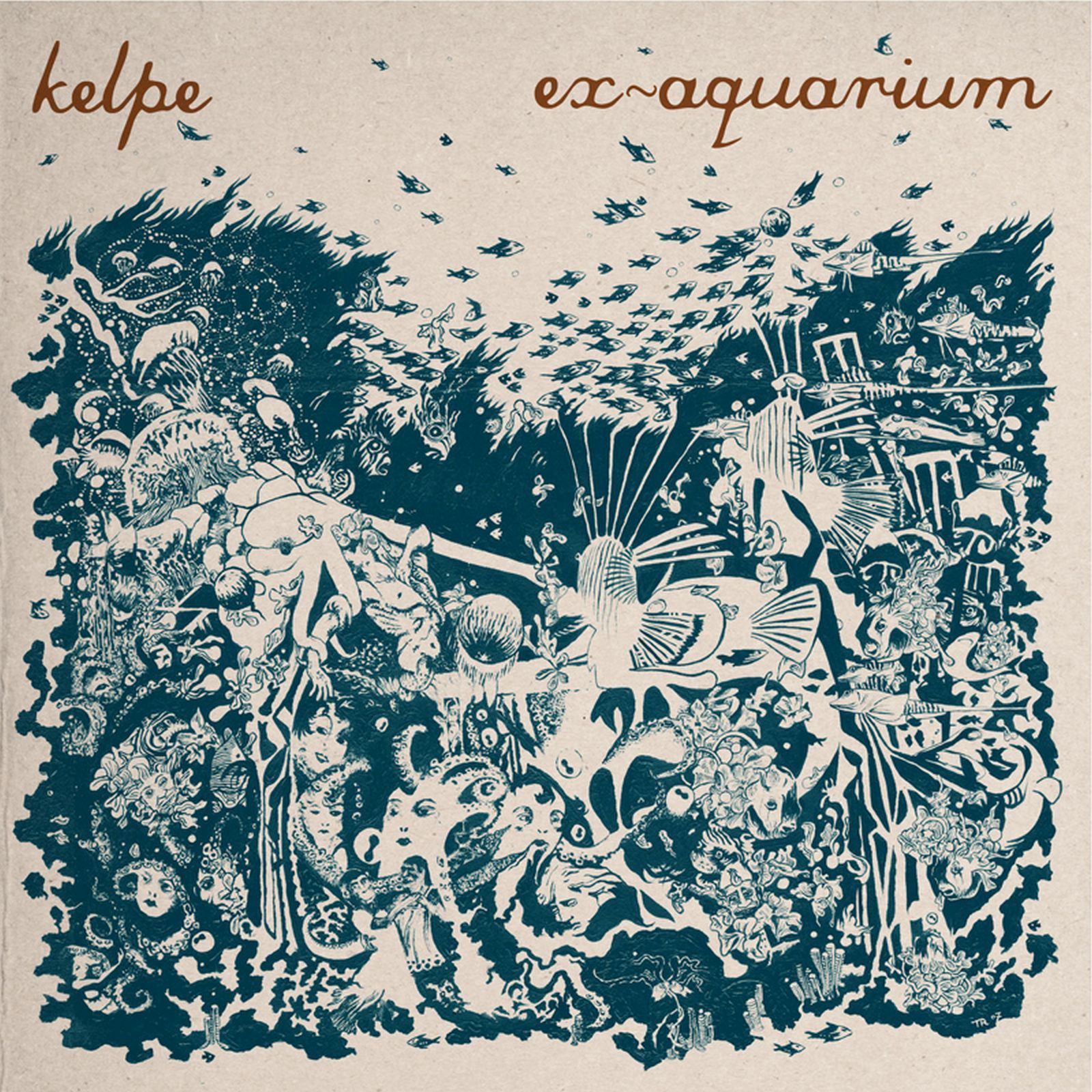 ex aquarium kelpe 