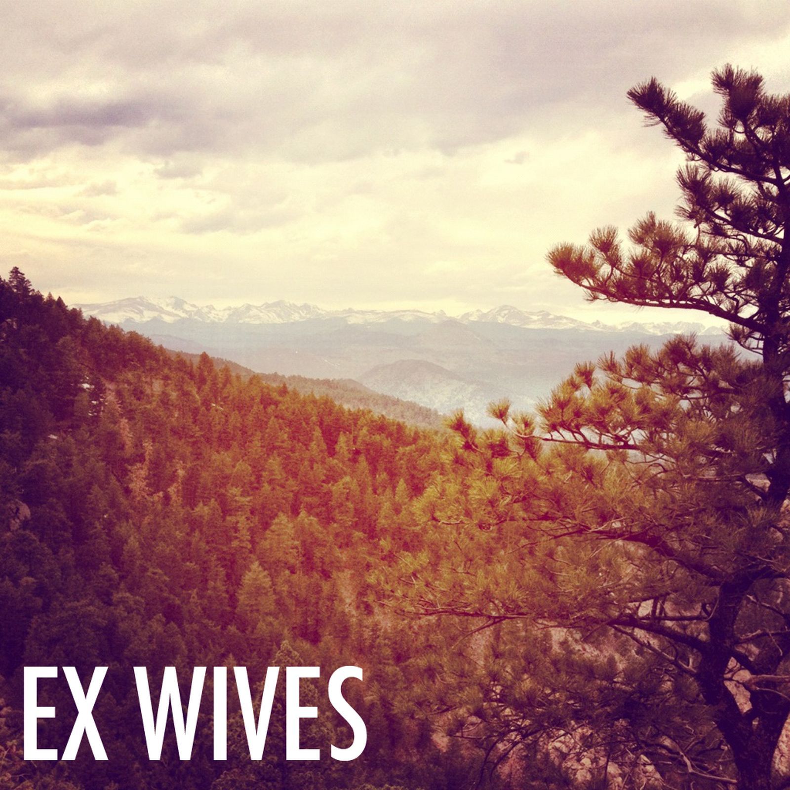 ex wives light black 
