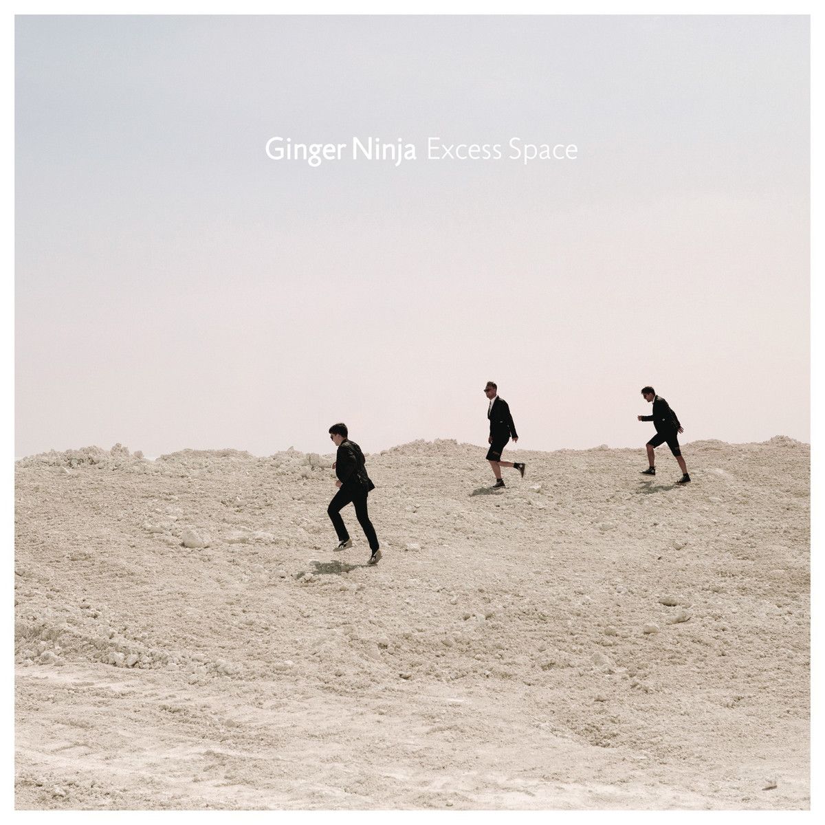 excess space ginger ninja 