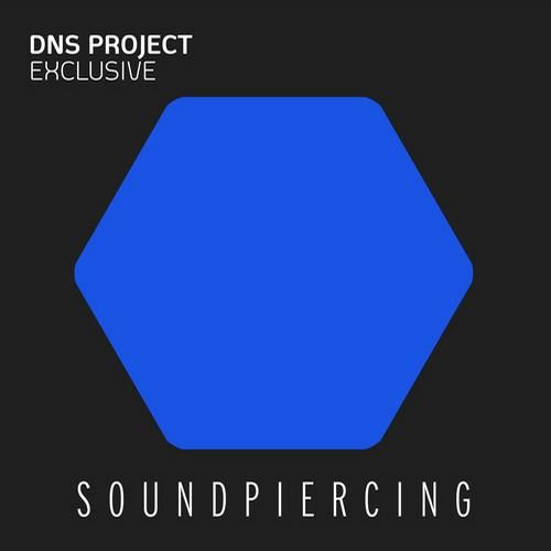 exclusive dns project  