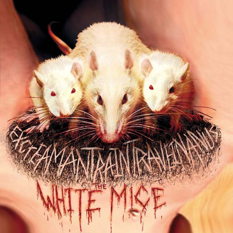 excreamantraintravei white mice 
