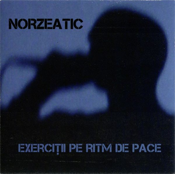exerciii pe ri norzeatic 