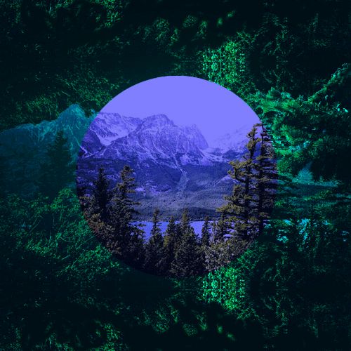 exercise tapes sundrenched 