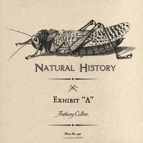 exhibit a anthony collins  