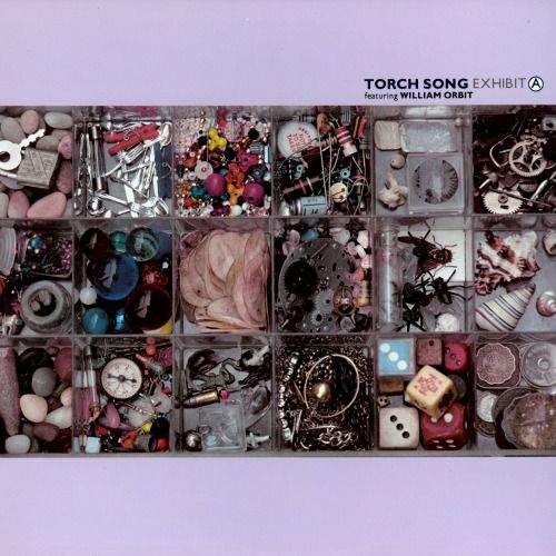 exhibit a torch song 