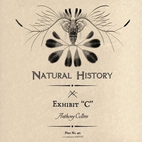 exhibit c anthony collins  