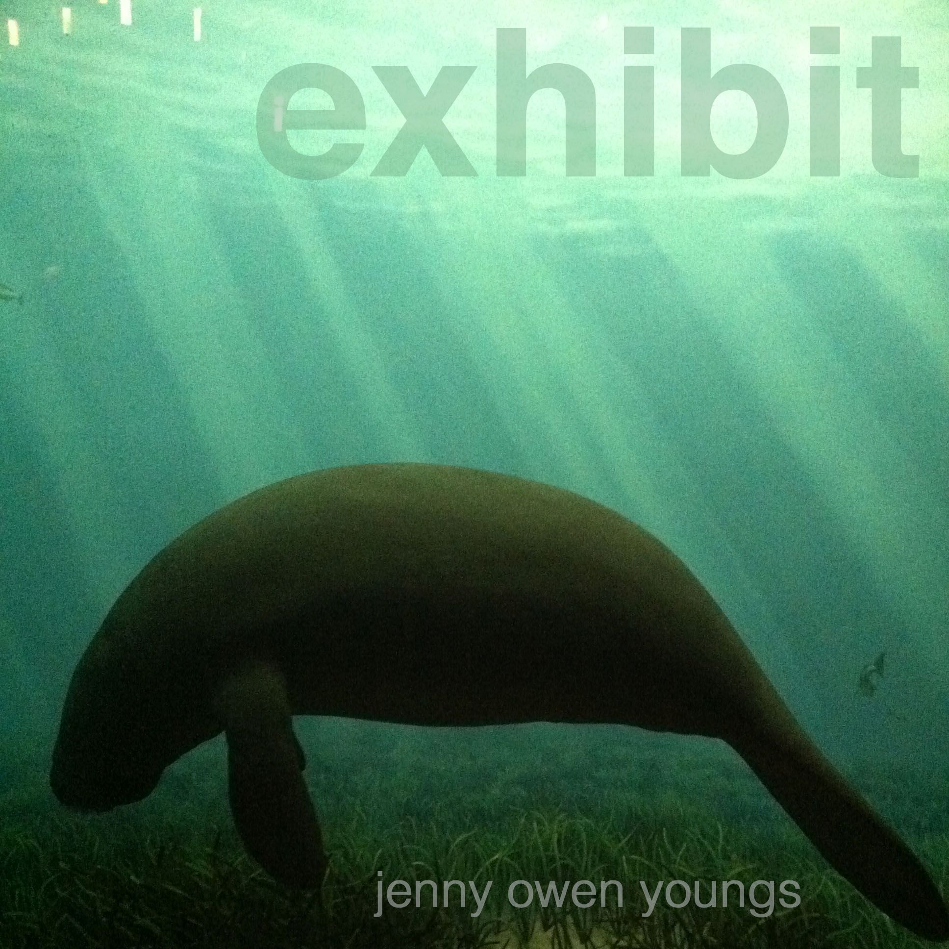 exhibit jenny owen youngs 