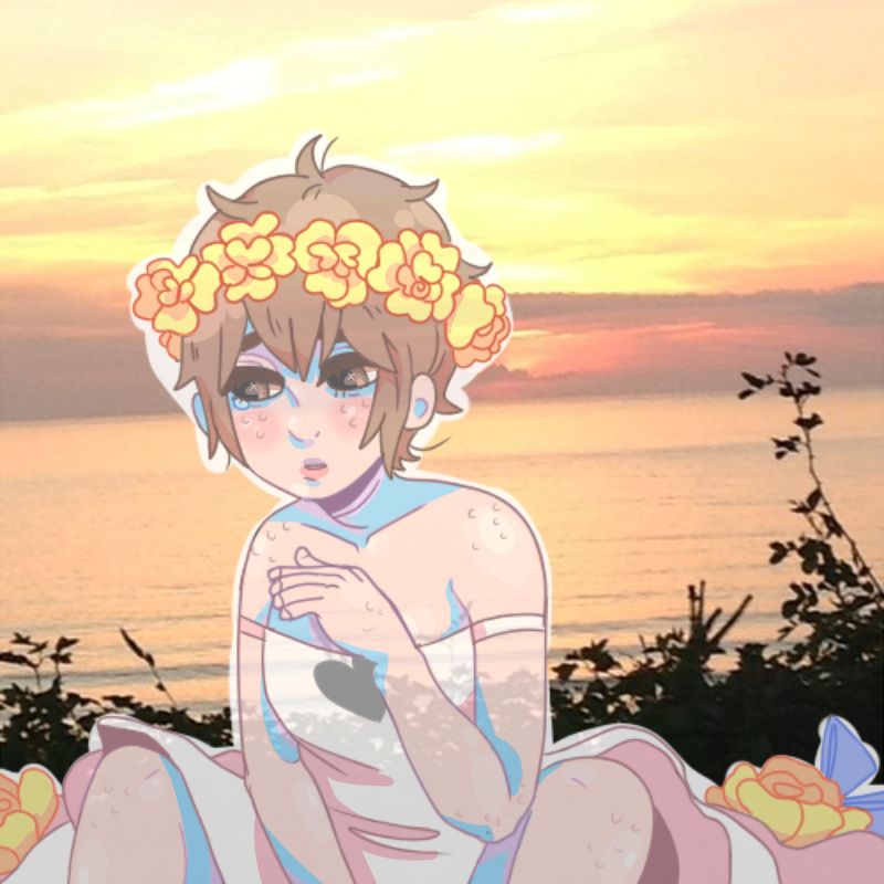 exhibition of the he paige stanley 