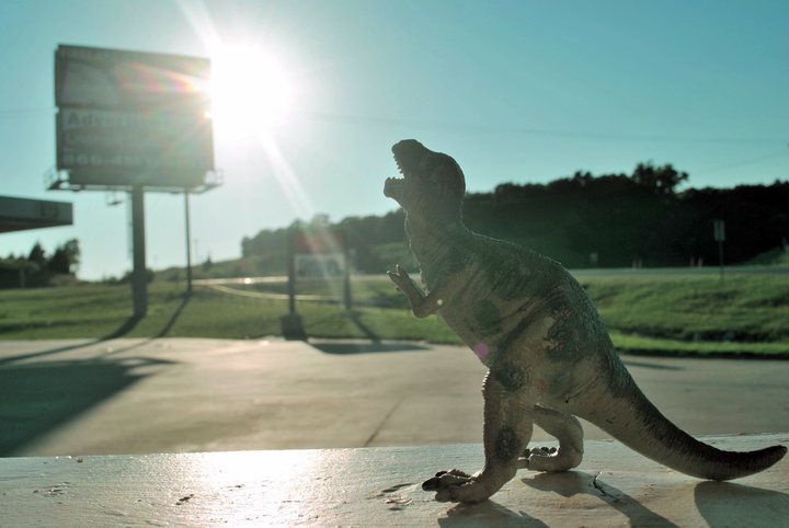 exile patterns moonlight glacier 