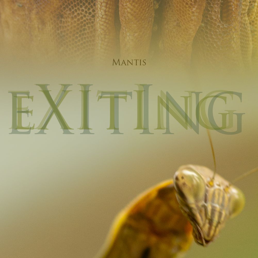 exiting mantis 