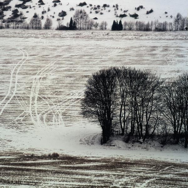 expanses the green kingdom 