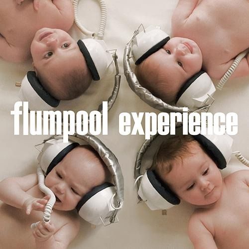 experience flumpool  
