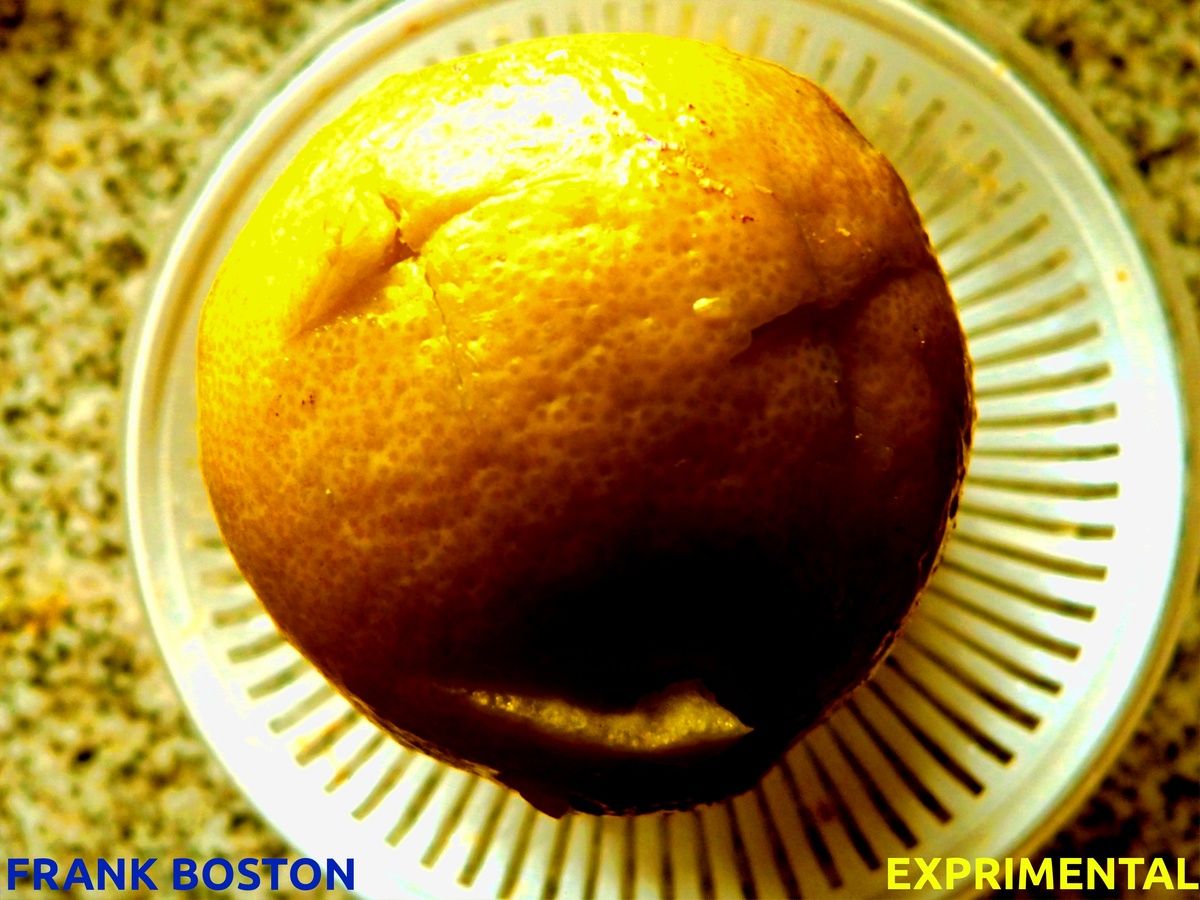 experimental frank boston 