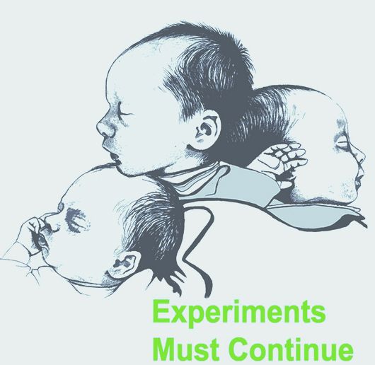 experiments must con chicago damn  