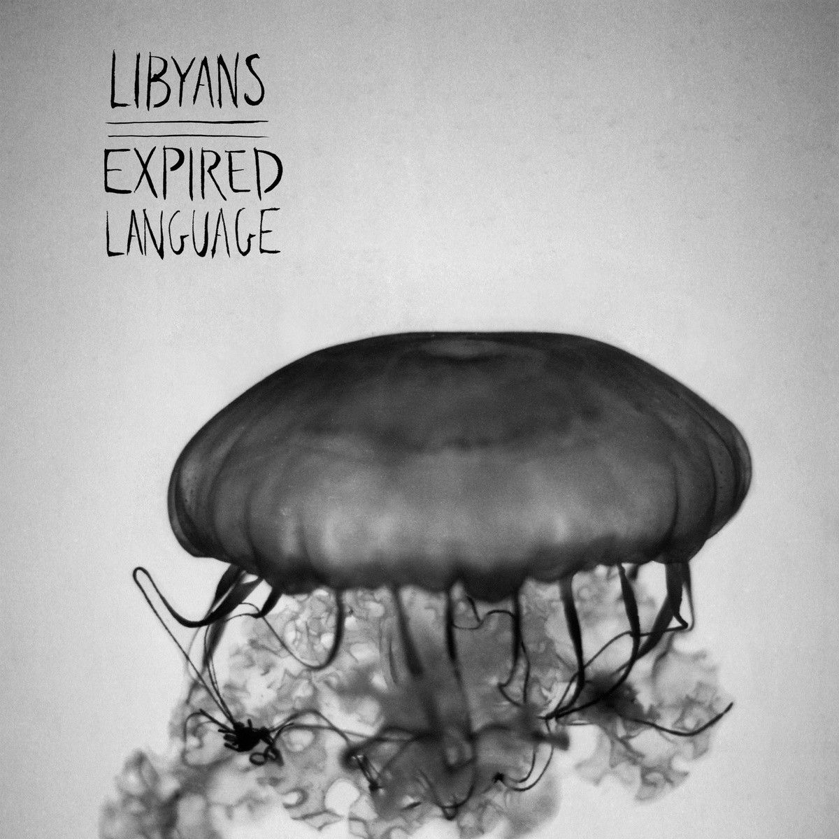 expired language libyans 