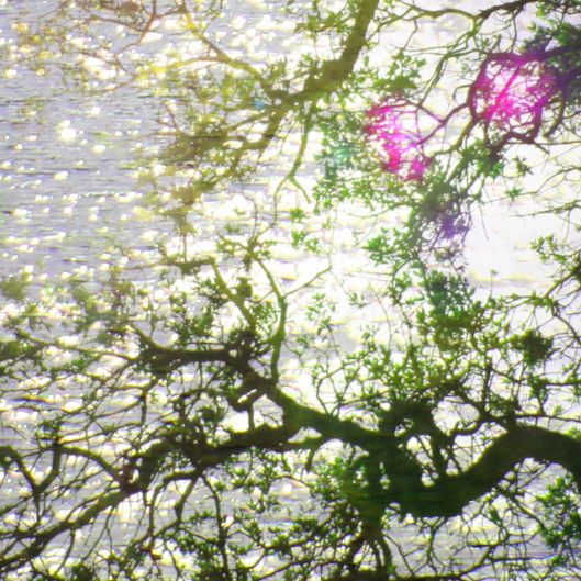 explorations choongum 