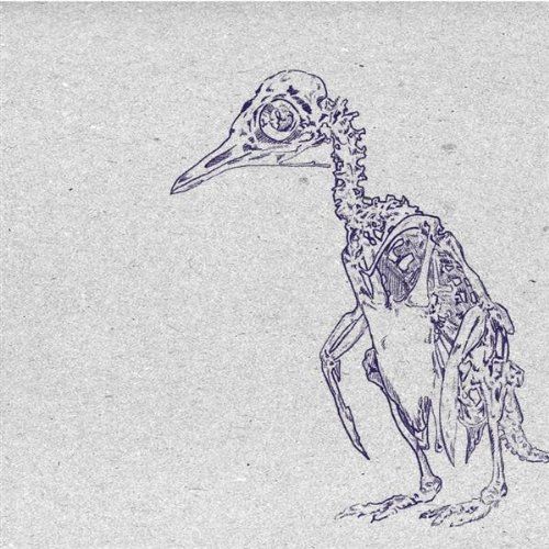 explorers club janek schaefer  