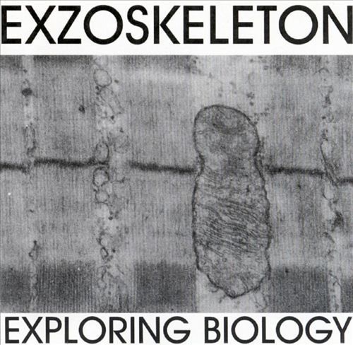 exploring biology exzoskeleton  