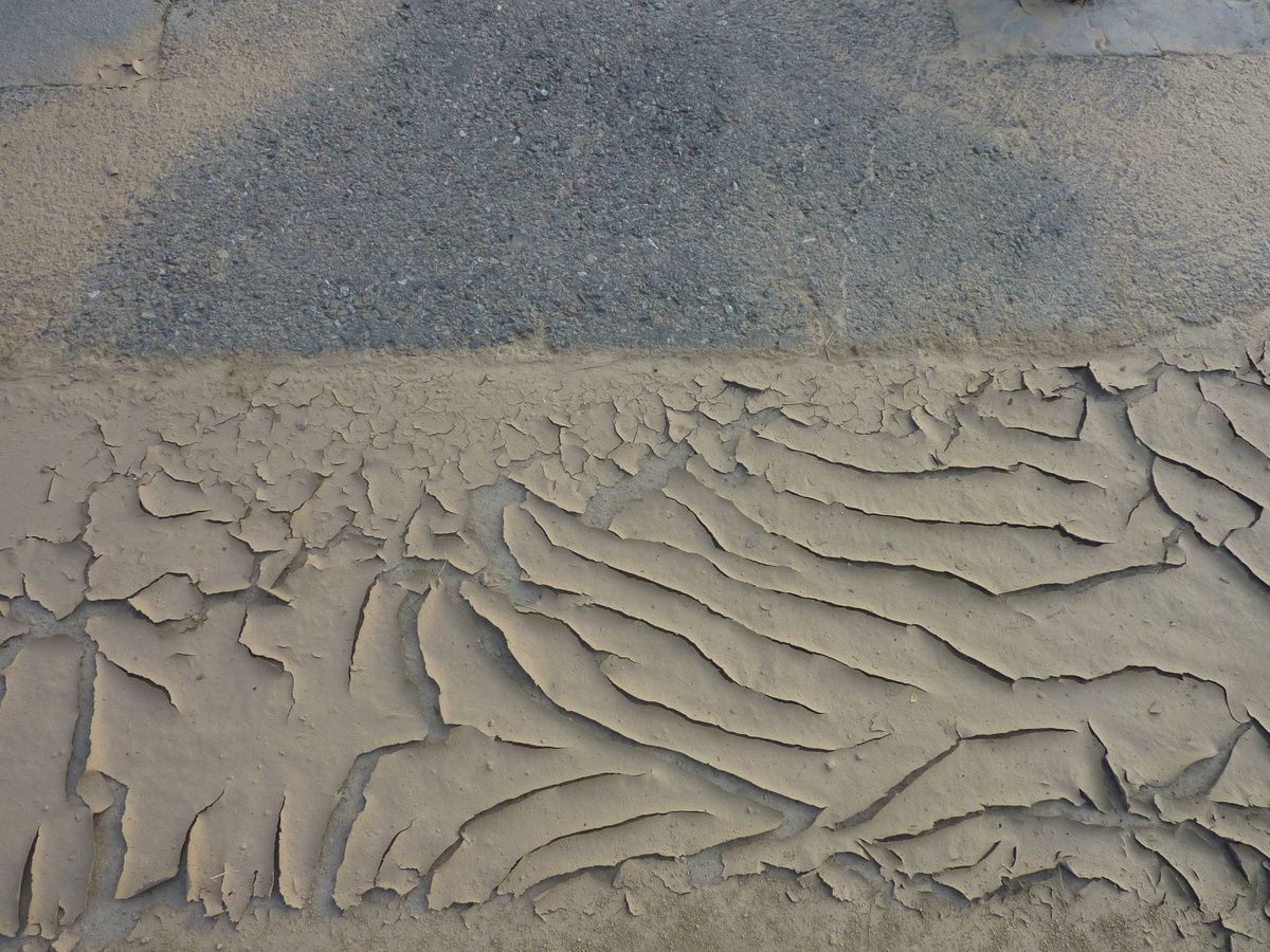 expressions of love david thomas brought 