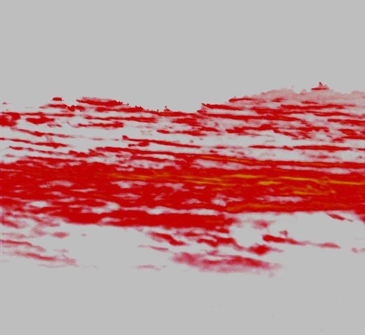 expressions of the mind parallel view  