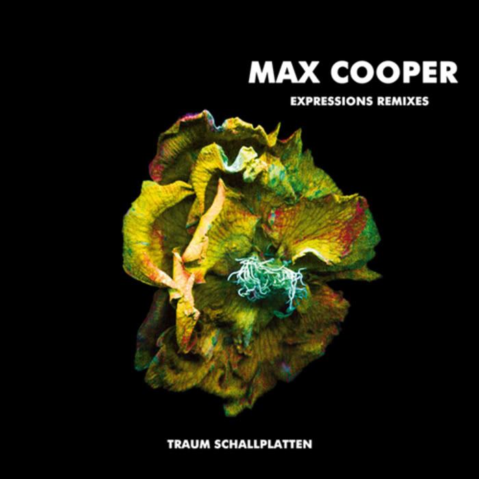 expressions remixes max cooper 