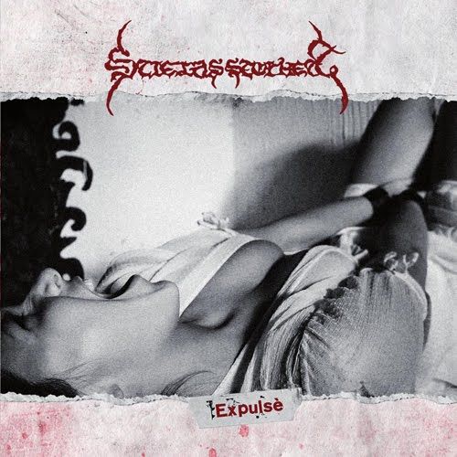 expulse stielas storhett 