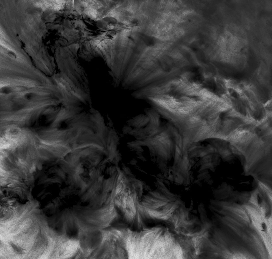 extinction event blind spite 