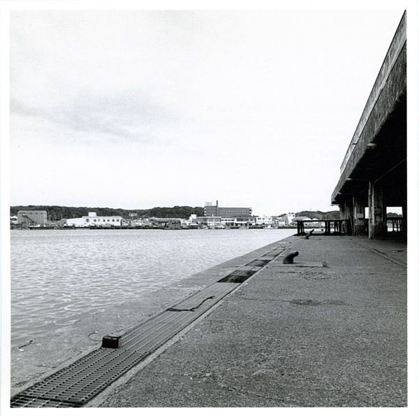 extract from field r toshiya tsunoda 