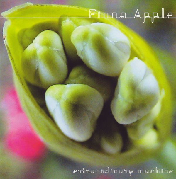 extraordinary machin fiona apple 