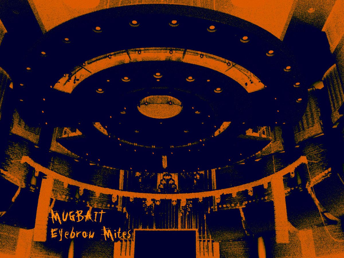 eyebrow mites mugbait 