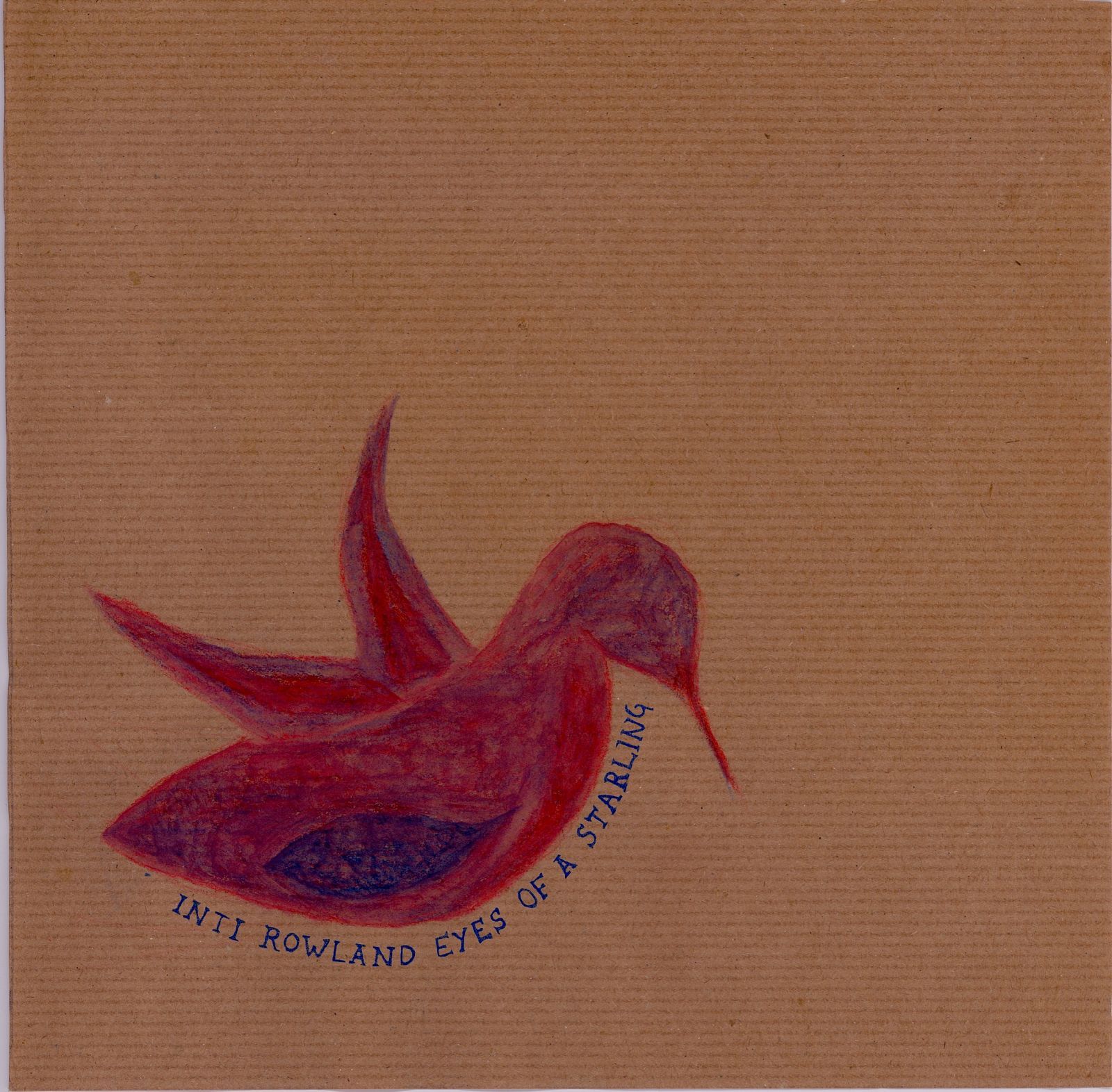 eyes of a starling inti rowland  